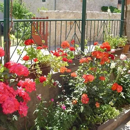 Lejlighed A&n Pako Tane - One Bedroom With Sea View And Balcony A1 Pakoštane