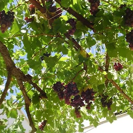 Apartment A&n Pako Tane - One Bedroom With Sea View And Balcony A1